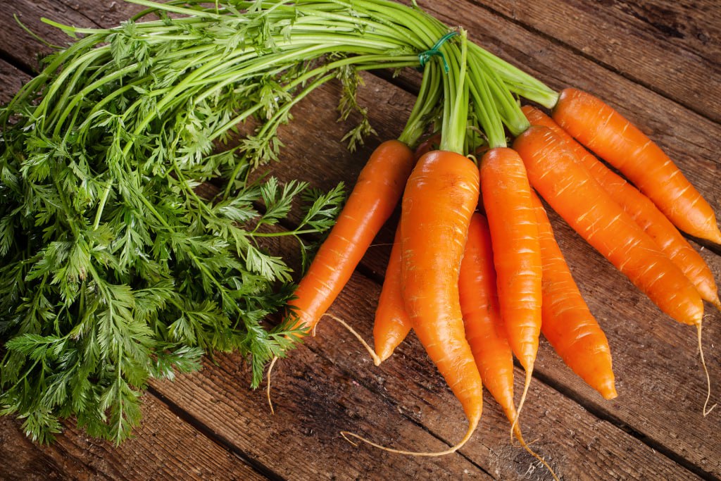 Koliko su mrkve korisne za naše tijelo?